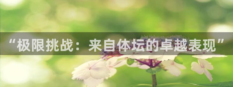 雷速为什么没有指数选项了呢：“极限挑战：来自体坛的卓越表现”