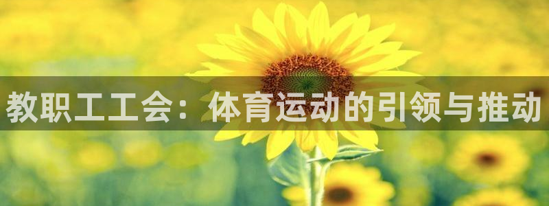 雷速体育下载app下载：教职工工会：体育运动的引领与推动