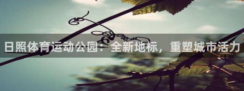 雷速清理帮手：日照体育运动公园：全新地标，重塑城市活力