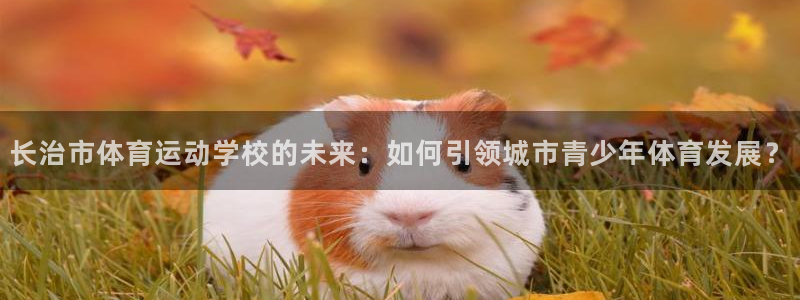 雷速体育下载app：长治市体育运动学校的未来：如何引领城市青少年体育发展？