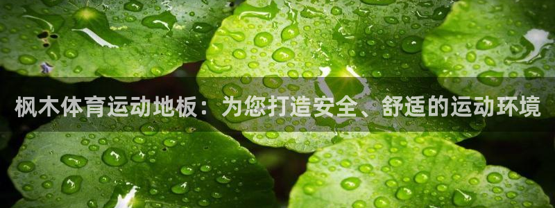 雷速广告怎么屏蔽：枫木体育运动地板：为您打造安全、舒适的运动环境