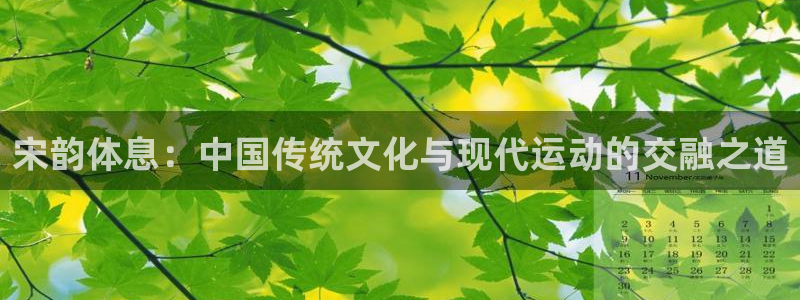 雷速清理软件：宋韵体息：中国传统文化与现代运动的交融之道