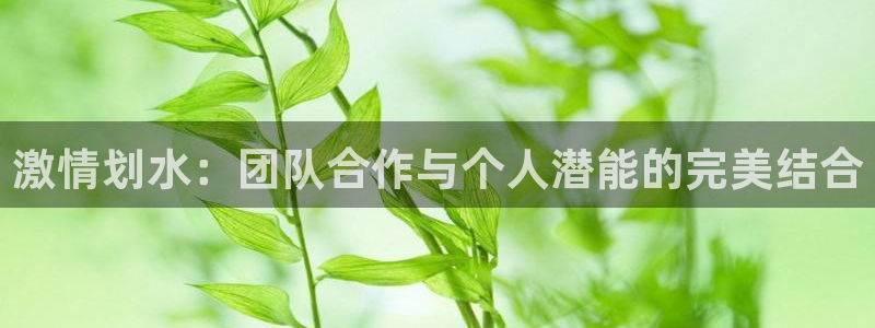 雷速体育app官网：激情划水：团队合作与个人潜能的完美结合