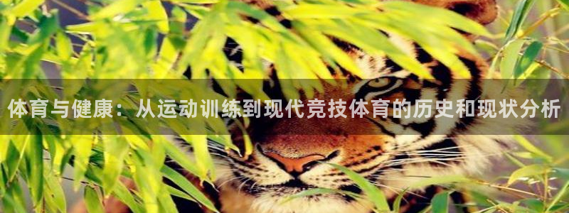 雷速cba服装品牌：体育与健康：从运动训练到现代竞技体育的历史和现状分析