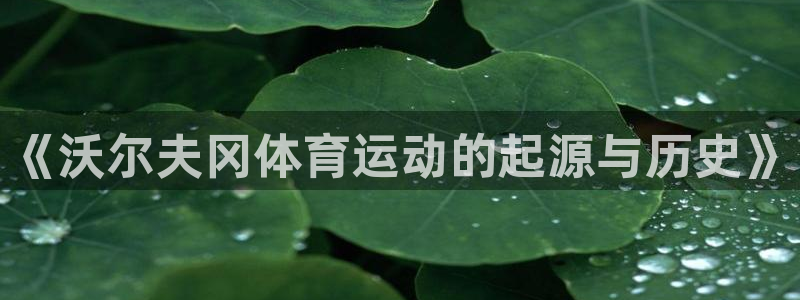 雷速币能体现成人民币吗?：《沃尔夫冈体育运动的起源与历史》