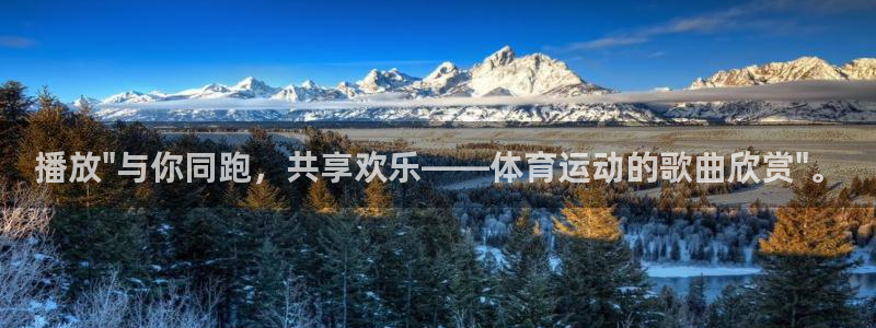 雷速体育即时比分：播放\