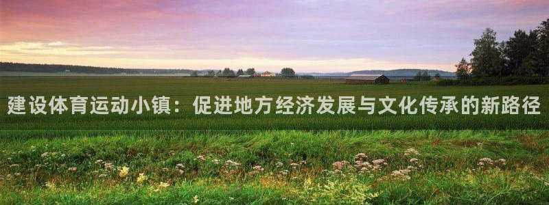 雷速英冠：建设体育运动小镇：促进地方经济发展与文化传承的新路径